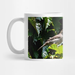 Profile Sparrow Mug